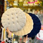 بالشتک بیسکویت