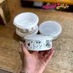 ظرف فریزری  رادیانت دو عددی فرشکیپس ایرمان