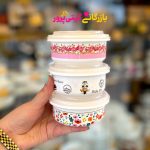 ظرف فریزری ۳عددی رادیانت
