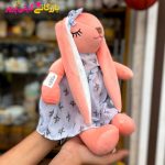جلی کت خرگوش ناز متوسط - Image 2