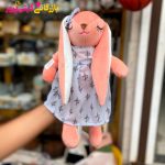 جلی کت خرگوش ناز متوسط