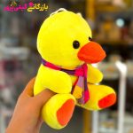 جوجه شال گردن دار خارجی - Image 2